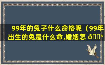 99年的兔子什么命格呢（99年出生的兔是什么命,婚姻怎 💮 样）